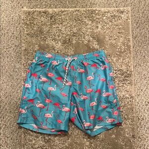 Flamingo Print Swim Shorts